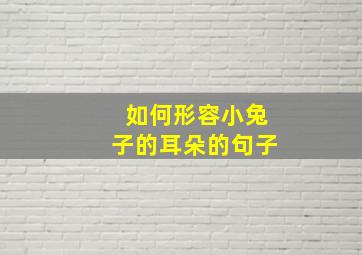 如何形容小兔子的耳朵的句子