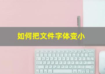 如何把文件字体变小