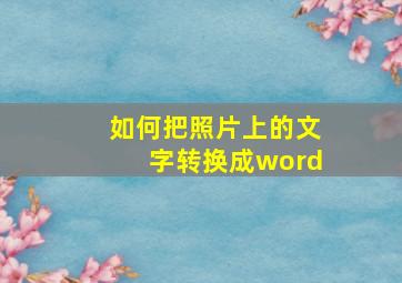 如何把照片上的文字转换成word