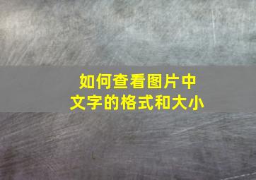 如何查看图片中文字的格式和大小