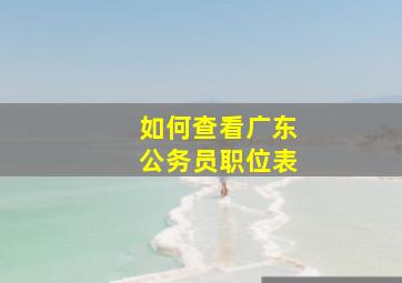 如何查看广东公务员职位表