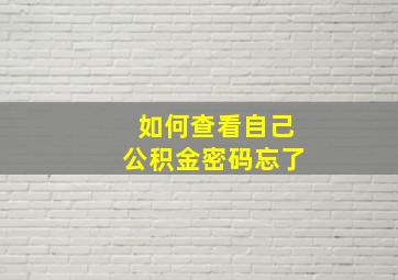 如何查看自己公积金密码忘了