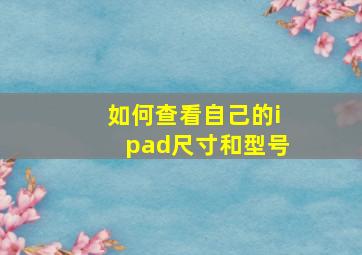 如何查看自己的ipad尺寸和型号