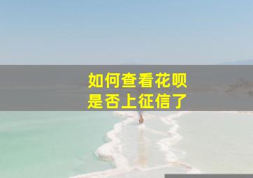 如何查看花呗是否上征信了