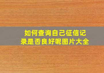 如何查询自己征信记录是否良好呢图片大全