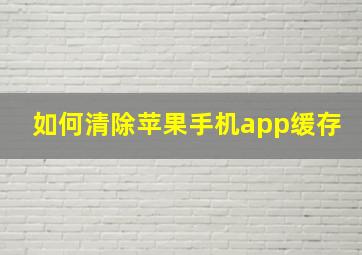 如何清除苹果手机app缓存