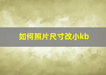 如何照片尺寸改小kb