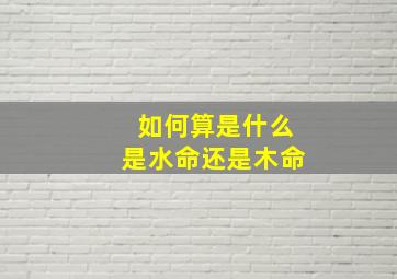 如何算是什么是水命还是木命