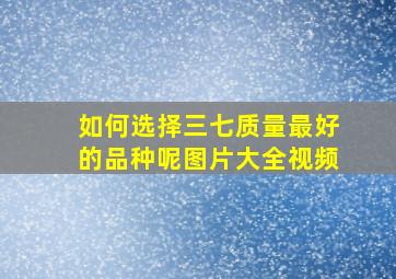 如何选择三七质量最好的品种呢图片大全视频