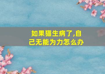 如果猫生病了,自己无能为力怎么办