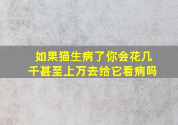 如果猫生病了你会花几千甚至上万去给它看病吗