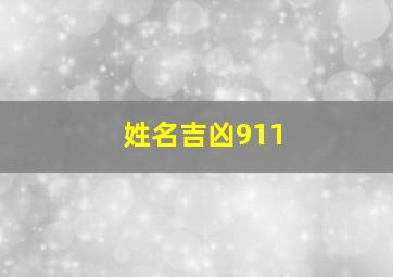 姓名吉凶911