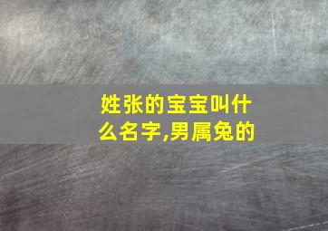 姓张的宝宝叫什么名字,男属兔的