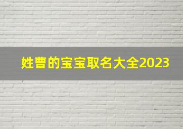 姓曹的宝宝取名大全2023