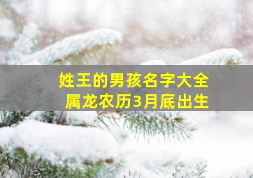 姓王的男孩名字大全属龙农历3月底出生