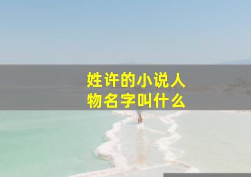 姓许的小说人物名字叫什么