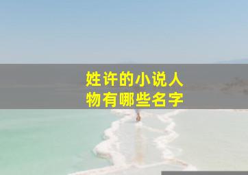 姓许的小说人物有哪些名字