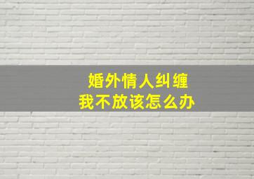 婚外情人纠缠我不放该怎么办