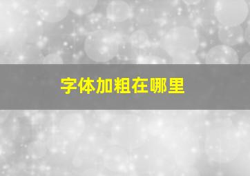 字体加粗在哪里