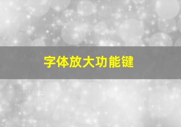 字体放大功能键