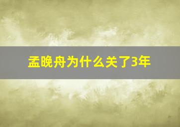 孟晚舟为什么关了3年