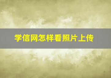 学信网怎样看照片上传