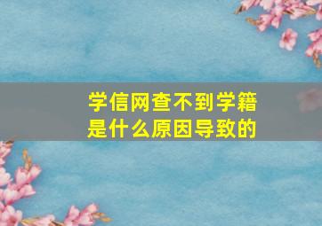 学信网查不到学籍是什么原因导致的