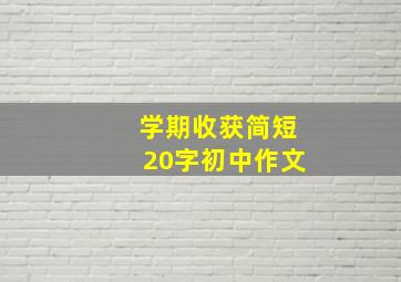 学期收获简短20字初中作文