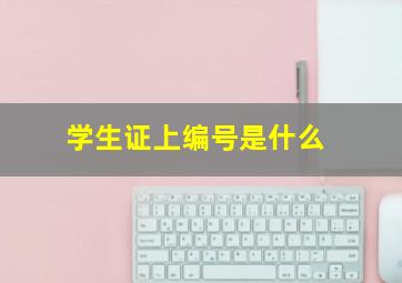 学生证上编号是什么