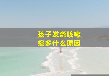 孩子发烧咳嗽痰多什么原因