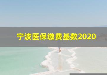 宁波医保缴费基数2020