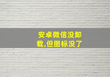 安卓微信没卸载,但图标没了