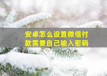 安卓怎么设置微信付款需要自己输入密码