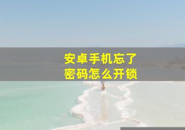 安卓手机忘了密码怎么开锁