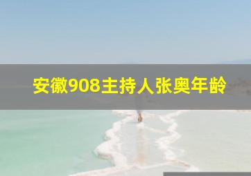 安徽908主持人张奥年龄