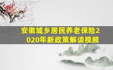 安徽城乡居民养老保险2020年新政策解读视频