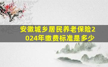 安徽城乡居民养老保险2024年缴费标准是多少