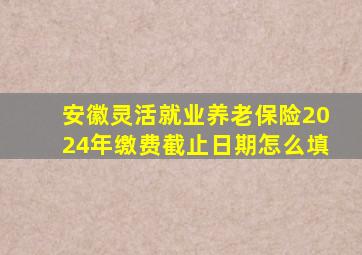 安徽灵活就业养老保险2024年缴费截止日期怎么填