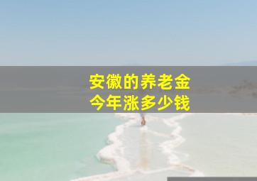 安徽的养老金今年涨多少钱