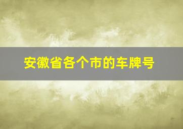 安徽省各个市的车牌号