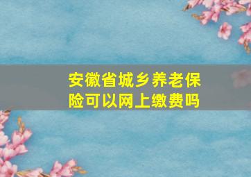 安徽省城乡养老保险可以网上缴费吗