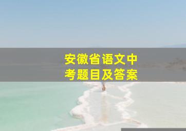 安徽省语文中考题目及答案