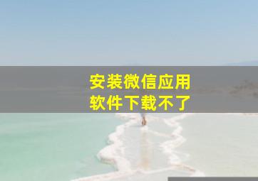 安装微信应用软件下载不了