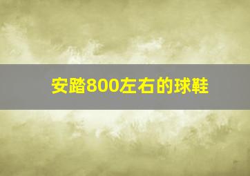 安踏800左右的球鞋