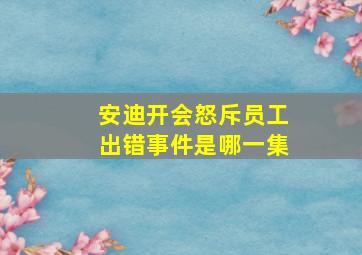 安迪开会怒斥员工出错事件是哪一集