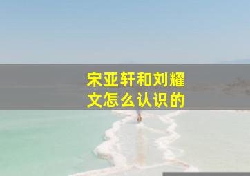 宋亚轩和刘耀文怎么认识的