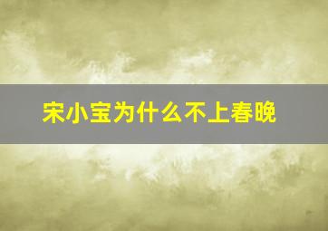 宋小宝为什么不上春晚