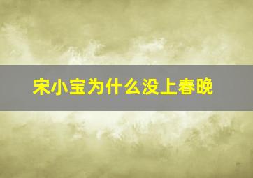 宋小宝为什么没上春晚