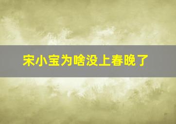 宋小宝为啥没上春晚了