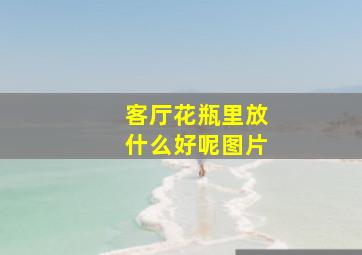 客厅花瓶里放什么好呢图片